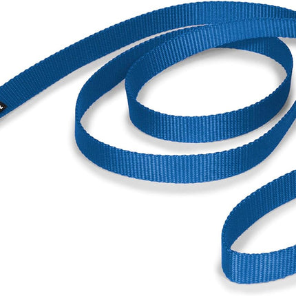Thin Plain Leash
