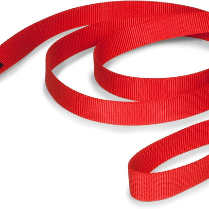 Thick Plain Leash
