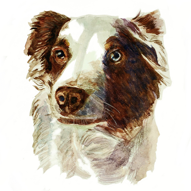 <h1>Essential <span style="text-decoration:underline">pet supplies</span> for customers who care.</h1>