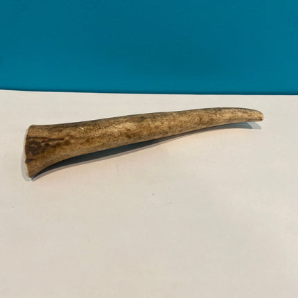 Barkworthies Large Whole Elk Antler