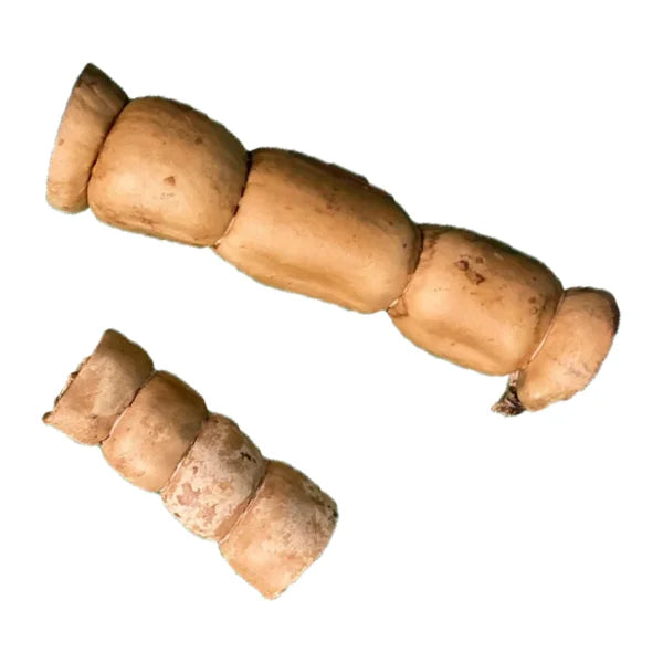 Cow Cheeks Hickory 10-12''