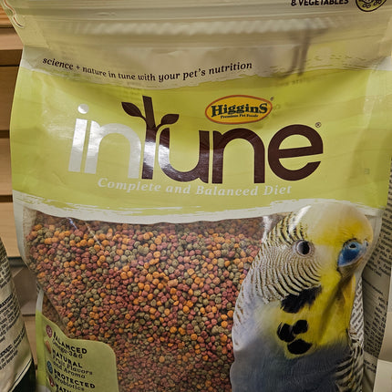 Higgins In Tune Parakeet 2lbs